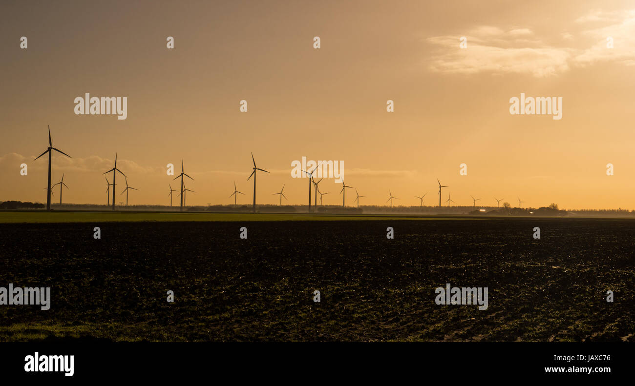 Wind turbines at sunrise in Dutch landscape Stock Photo - Alamy