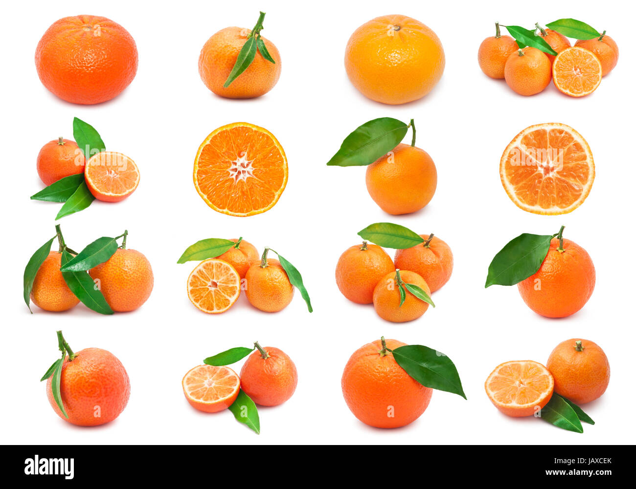 Collection of juicy tangerines or mandarins isolated on white