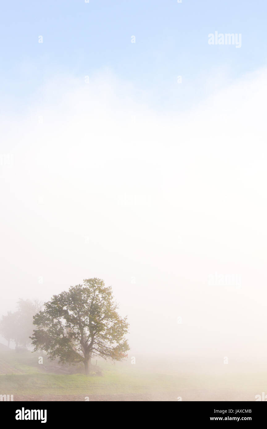 fog weather Stock Photo