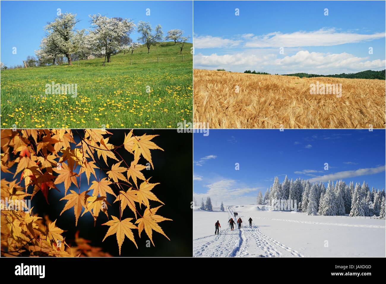 four seasons Stock Photo