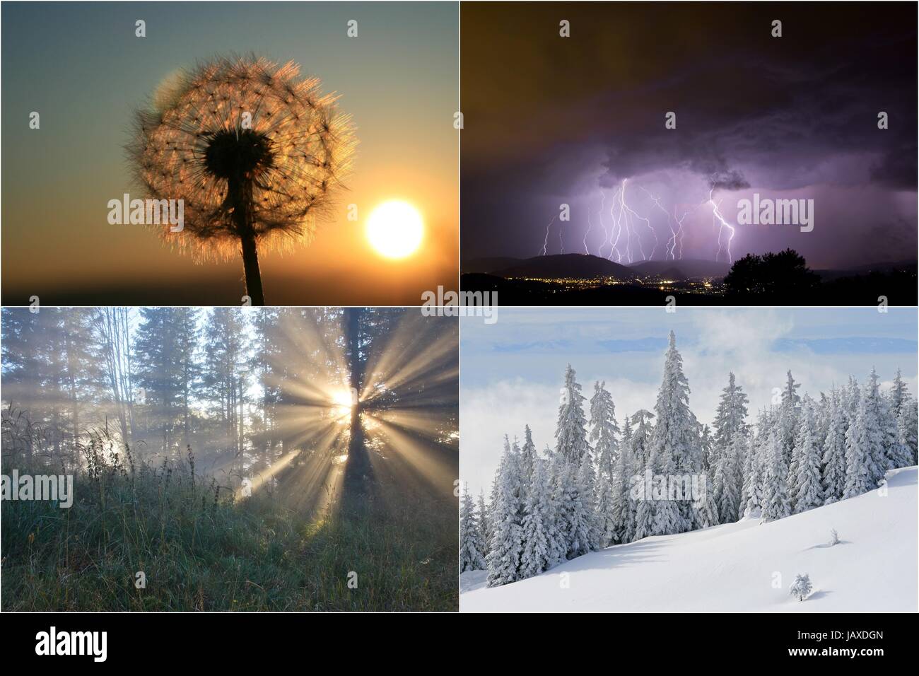 four seasons Stock Photo