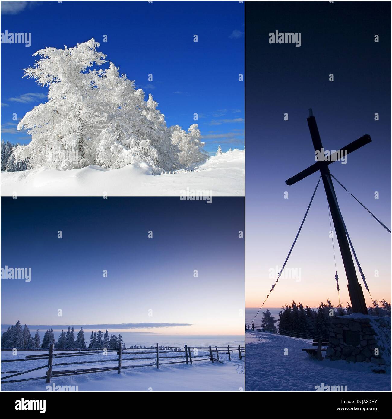 winter Stock Photo