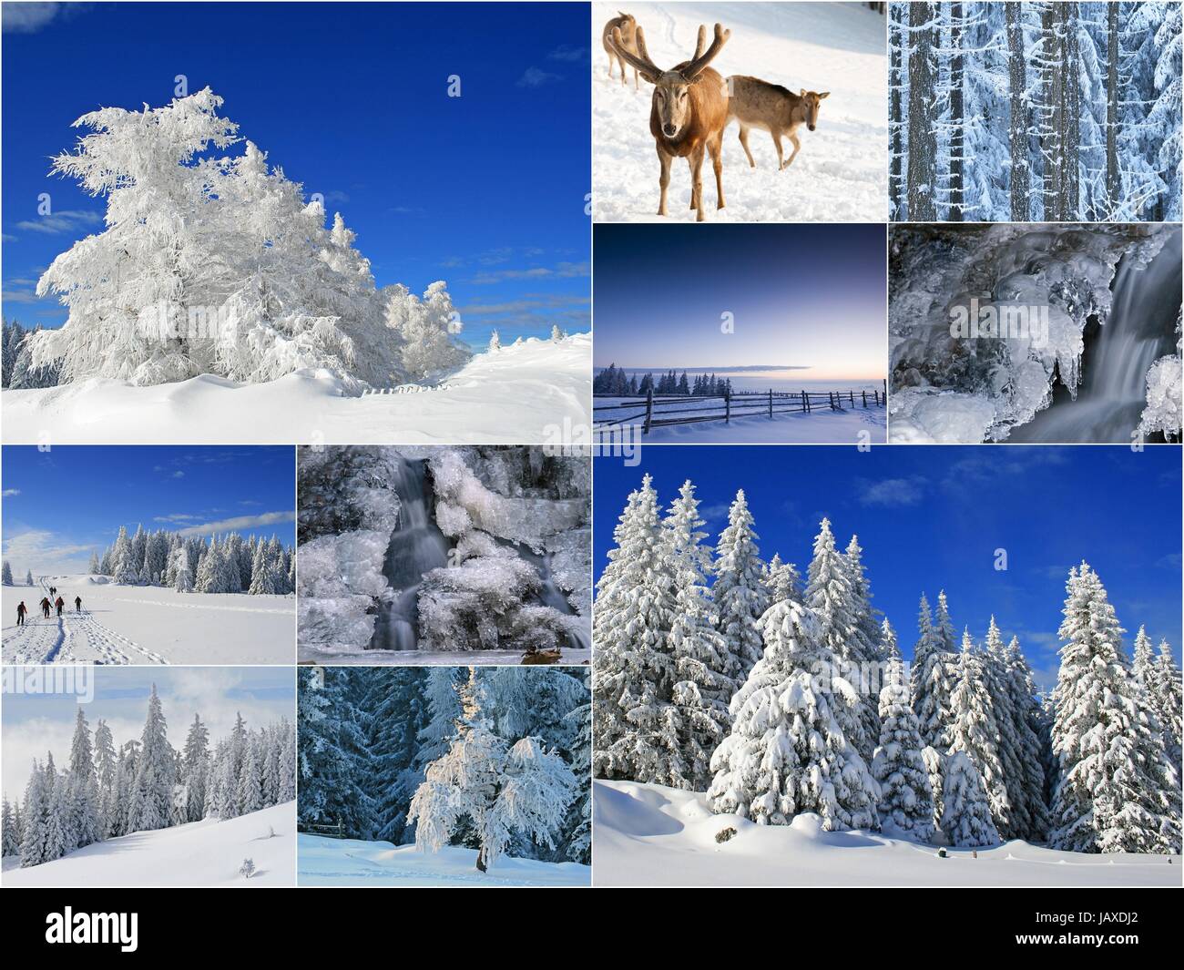 winter Stock Photo