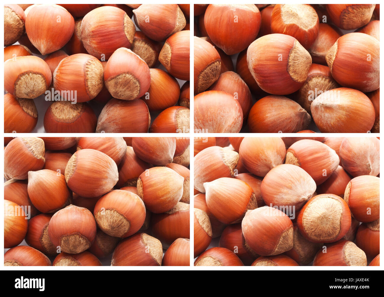 Collection of hazelnuts, filbert nuts making background Stock Photo Alamy