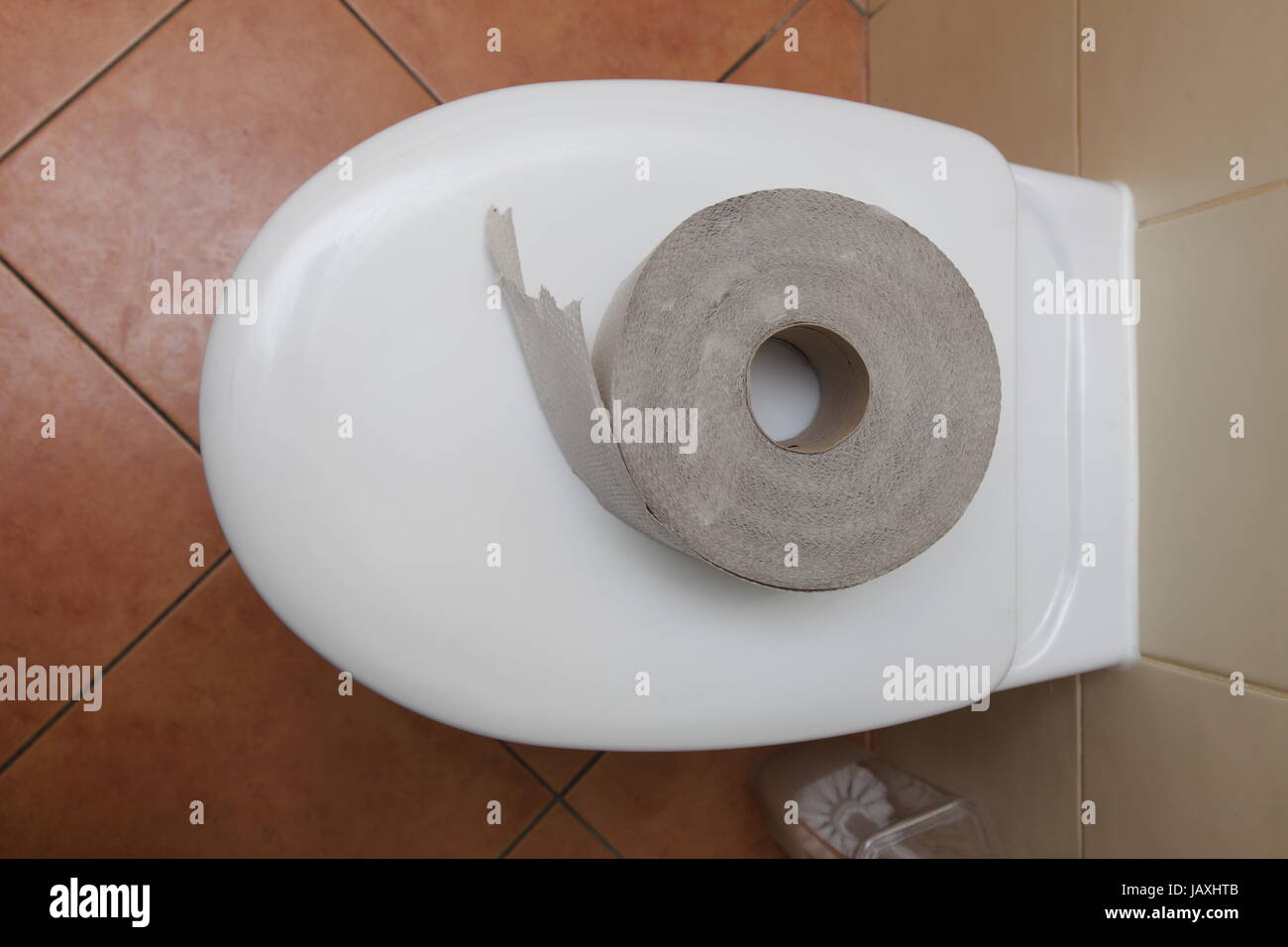 Roll of bathroom tissue. Toilet paper on a toilet bowl Stock Photo - Alamy