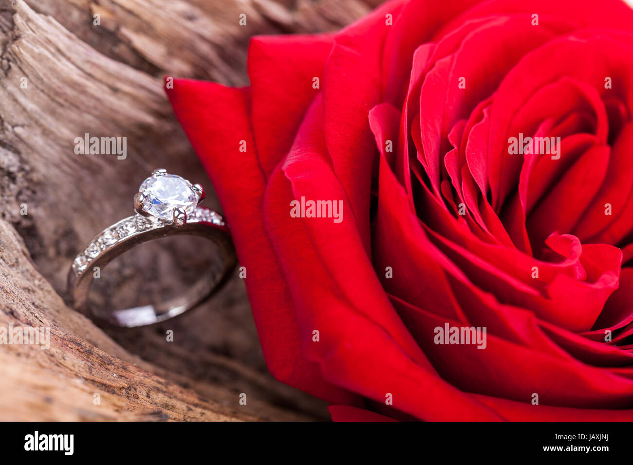 Lust Auf Liebe High Resolution Stock Photography and Images - Alamy