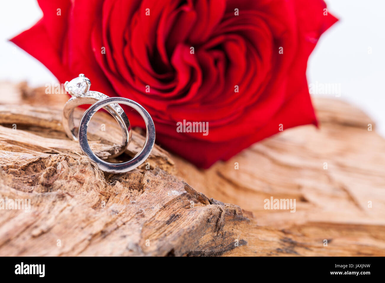 schöne rote rose und diamant ring schmuck auf treibholz hintergrund makro nahaufnahme detail Stock Photo