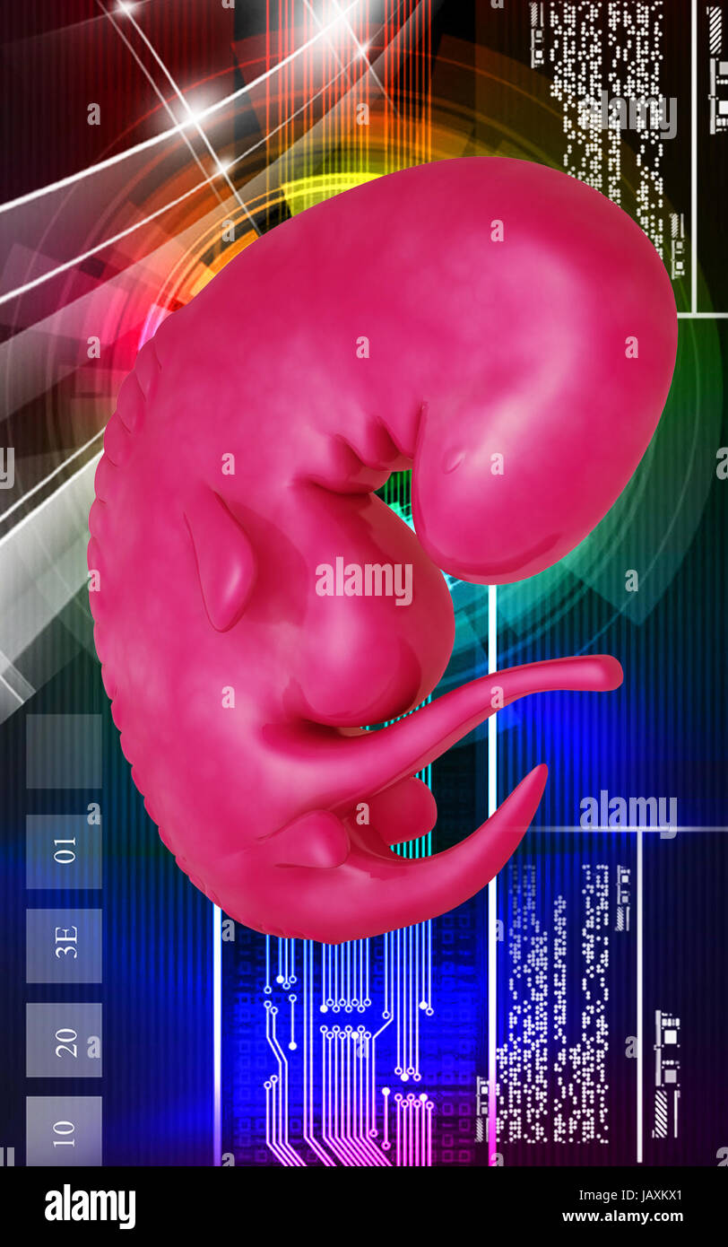 3d ultrasound foetus hi-res stock photography and images - Alamy