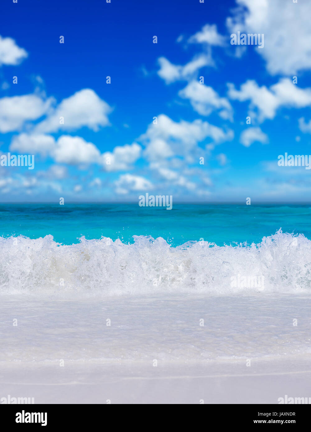 Tropical beach. Vertical composition Stock Photo - Alamy