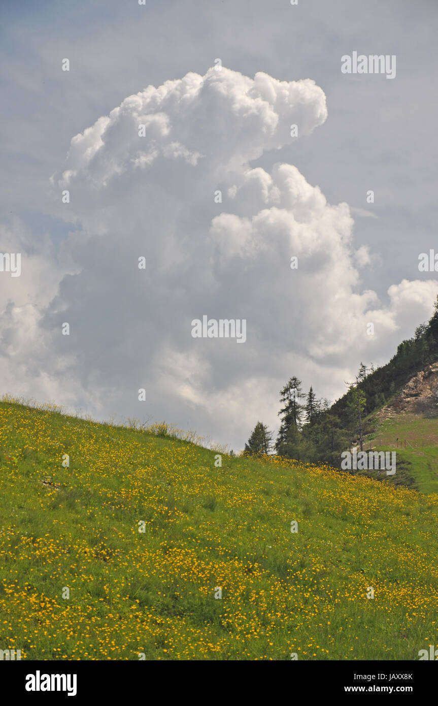 Gewitterwolke,wolke, gewitter,wetter,klima, meteorologie, alpen, berge, wiese, bergwiese, bischlinghöhe,tennengebirge Stock Photo