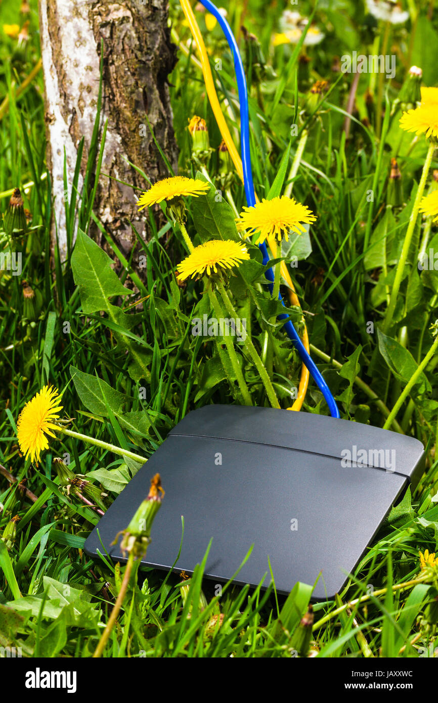 black wireless router, yellow and blue ethernet cables on lawn with ...