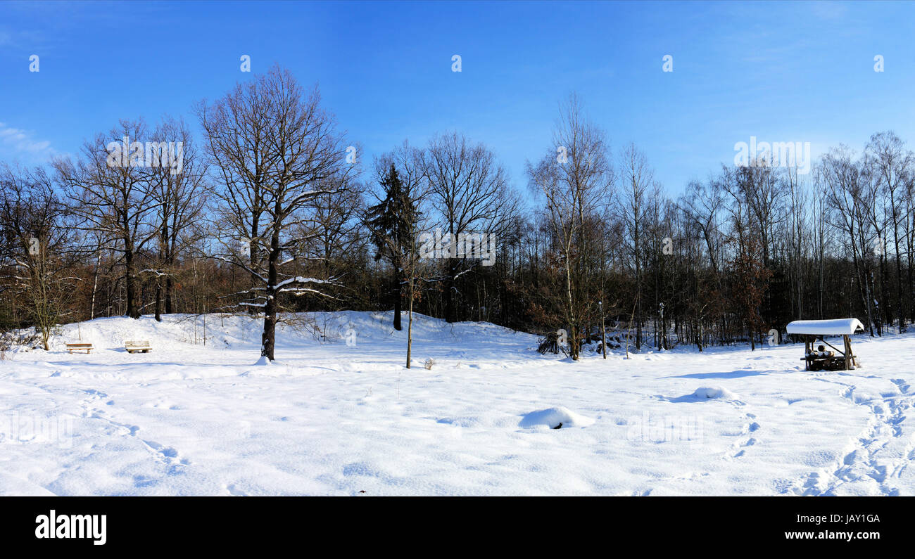 Panorama einer idyllischen Winterlandschaft; kahle Laubbäume und Spuren im Schnee; blauer Himmel Panorama of a idyllic winter landscape;  bald deciduous trees and trails in snow; blue sky Stock Photo