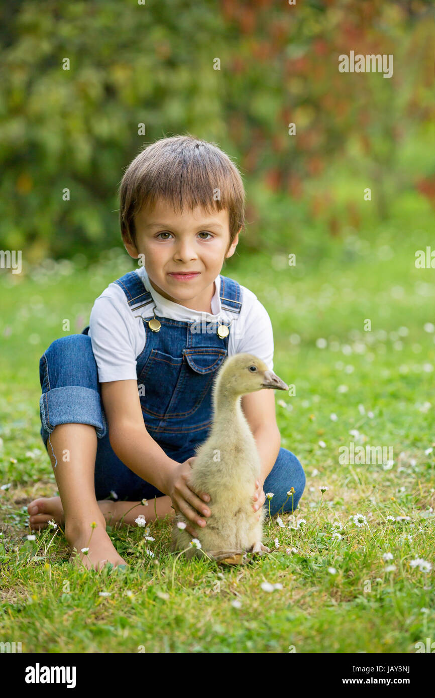 Adorable preschool children, boy brothers, playing with little