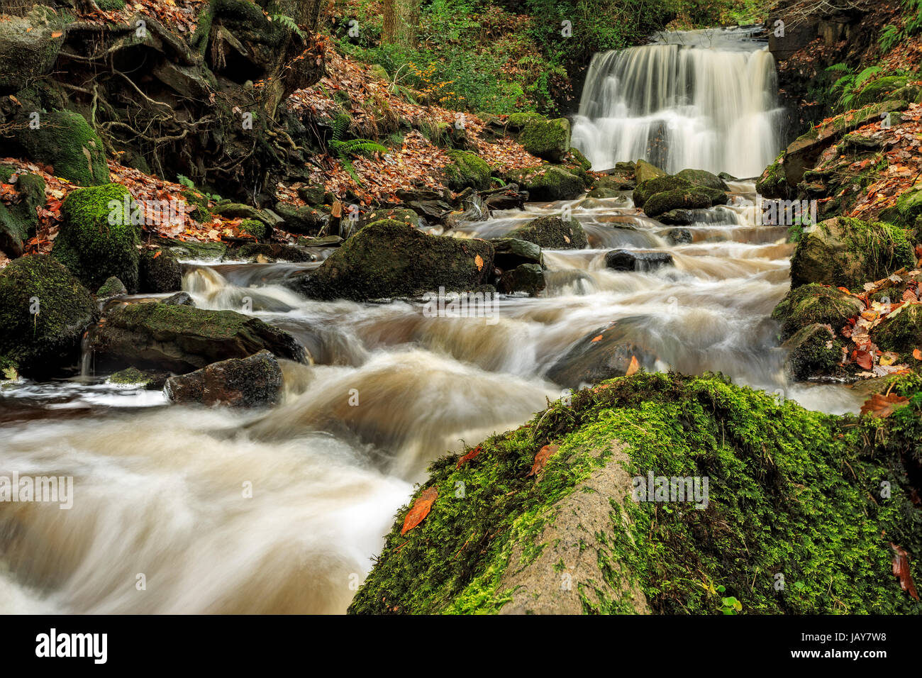 Long Exposure, Focus Stacked Image Stock Photo