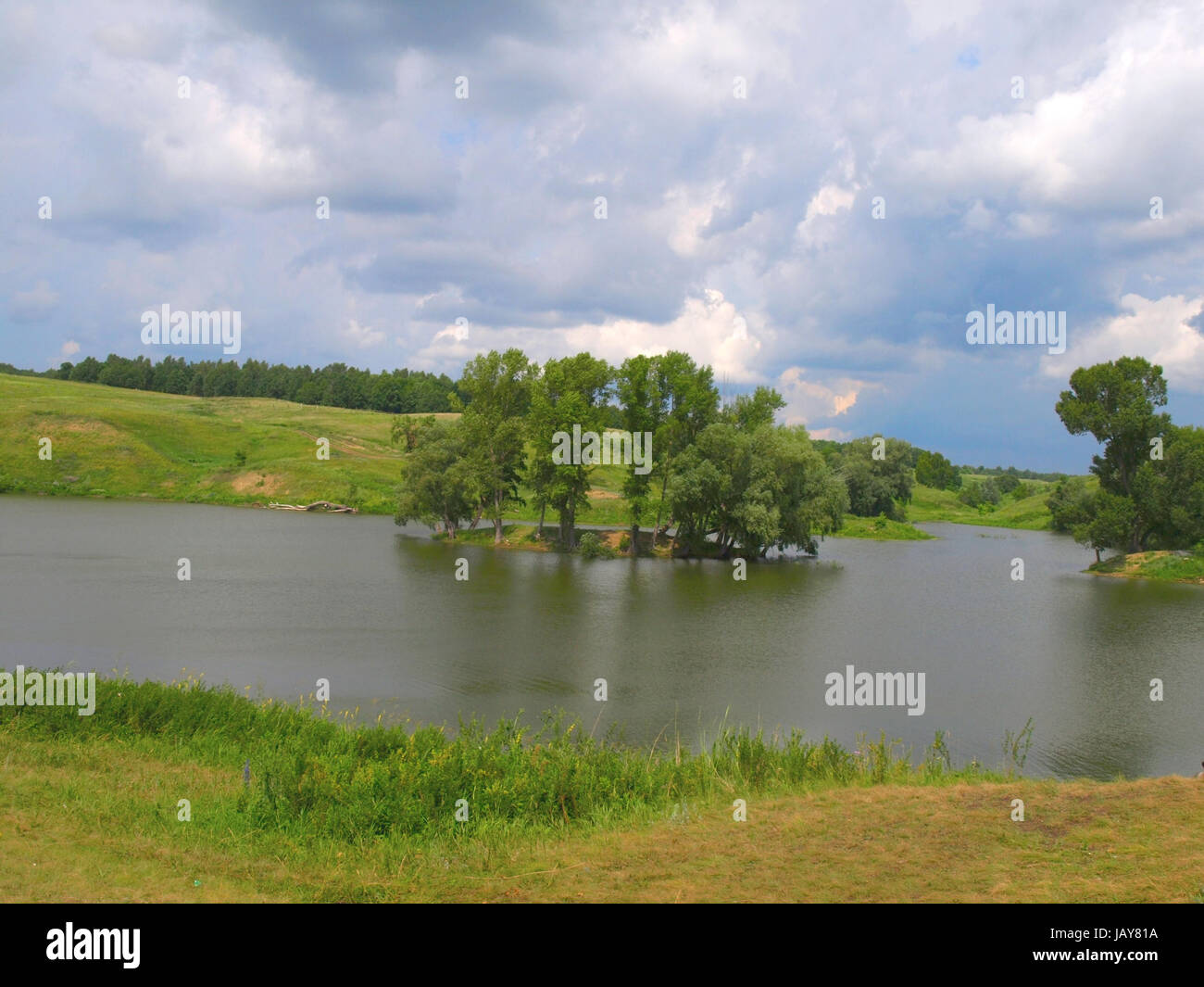 Beautiful summer landscape with lake and trees Stock Photo - Alamy