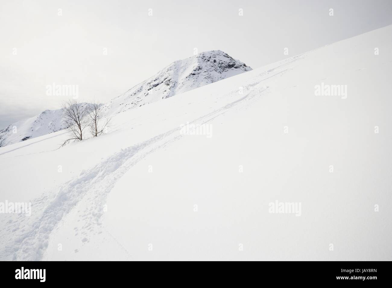 Back country ski tracks in candid powder snow on soft light in a cloudy ...
