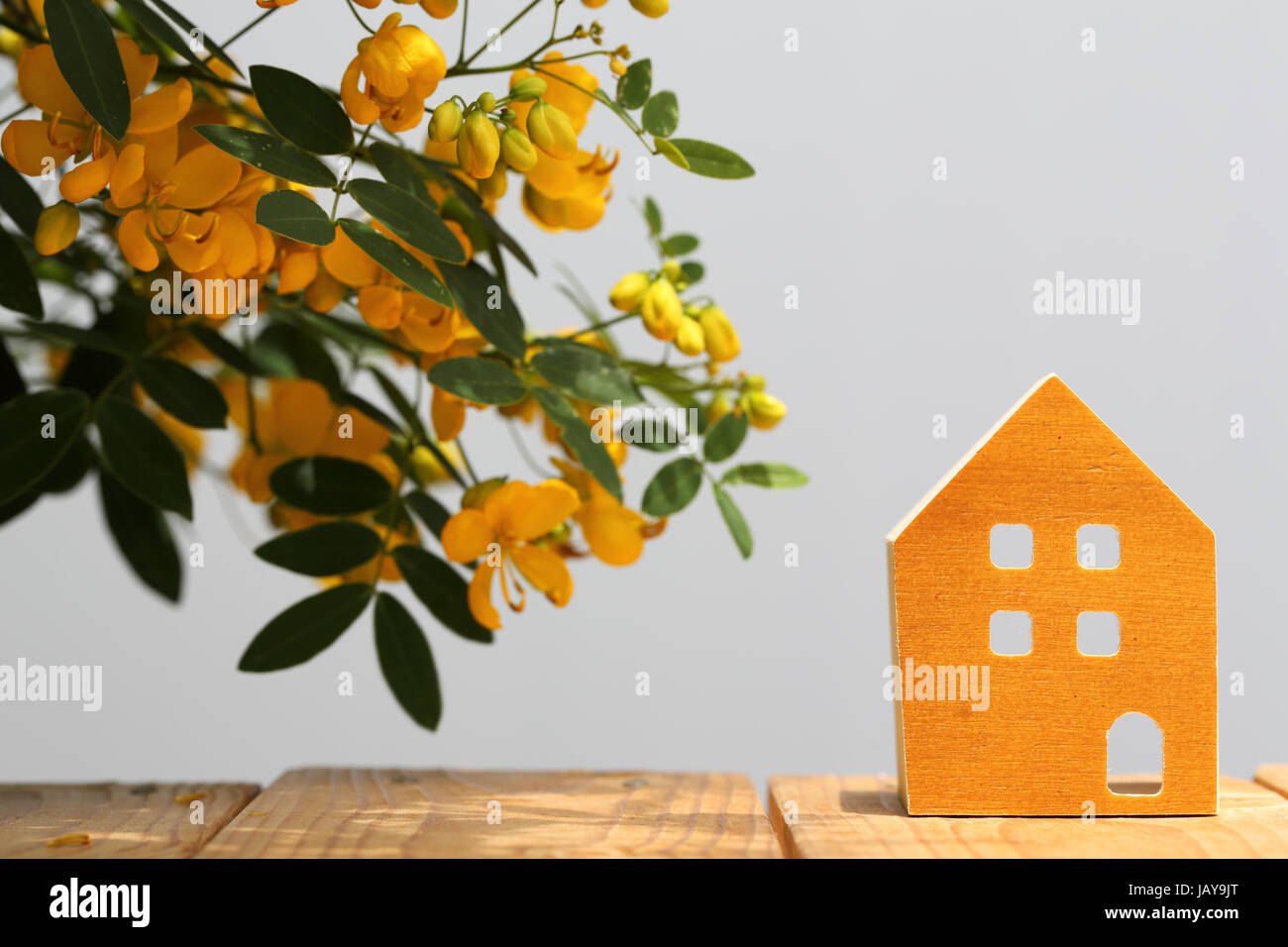 miniature model of house with beautiful blossom flower Stock Photo