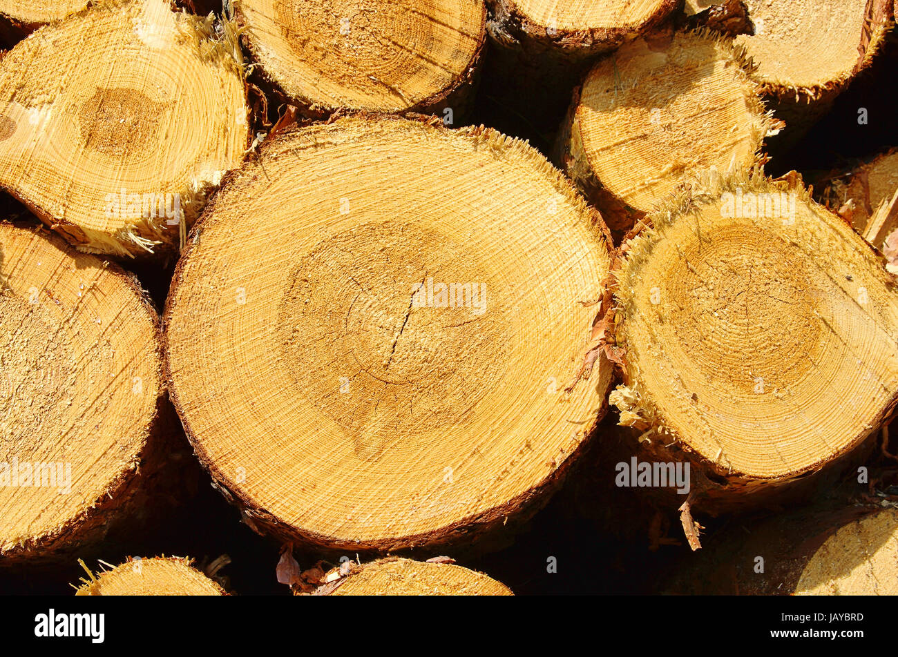 Holzstapel - stack of wood 36 Stock Photo