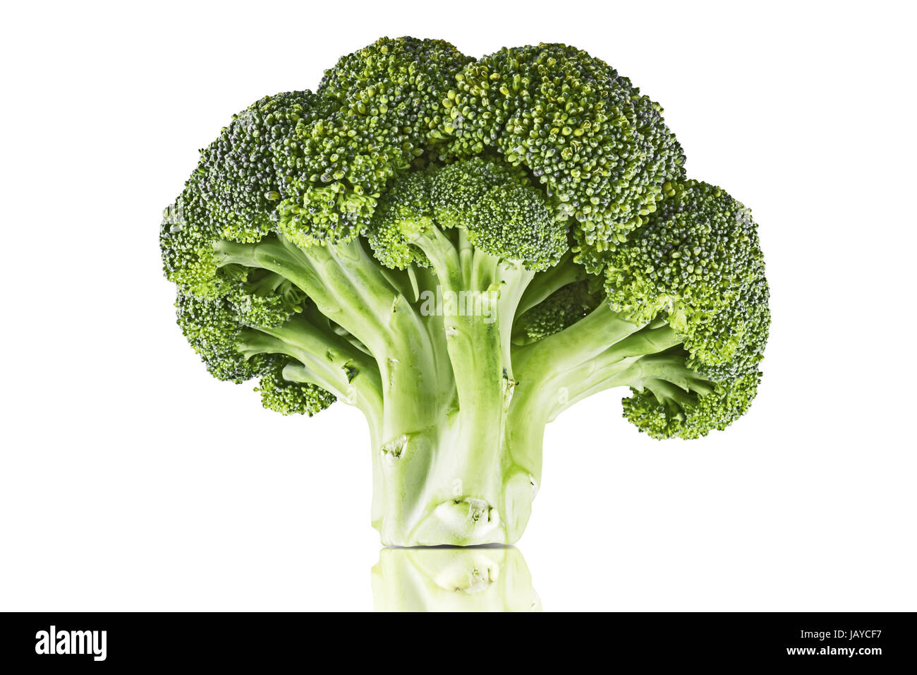 Single broccoli floret isolated on white. Clipping path included Stock