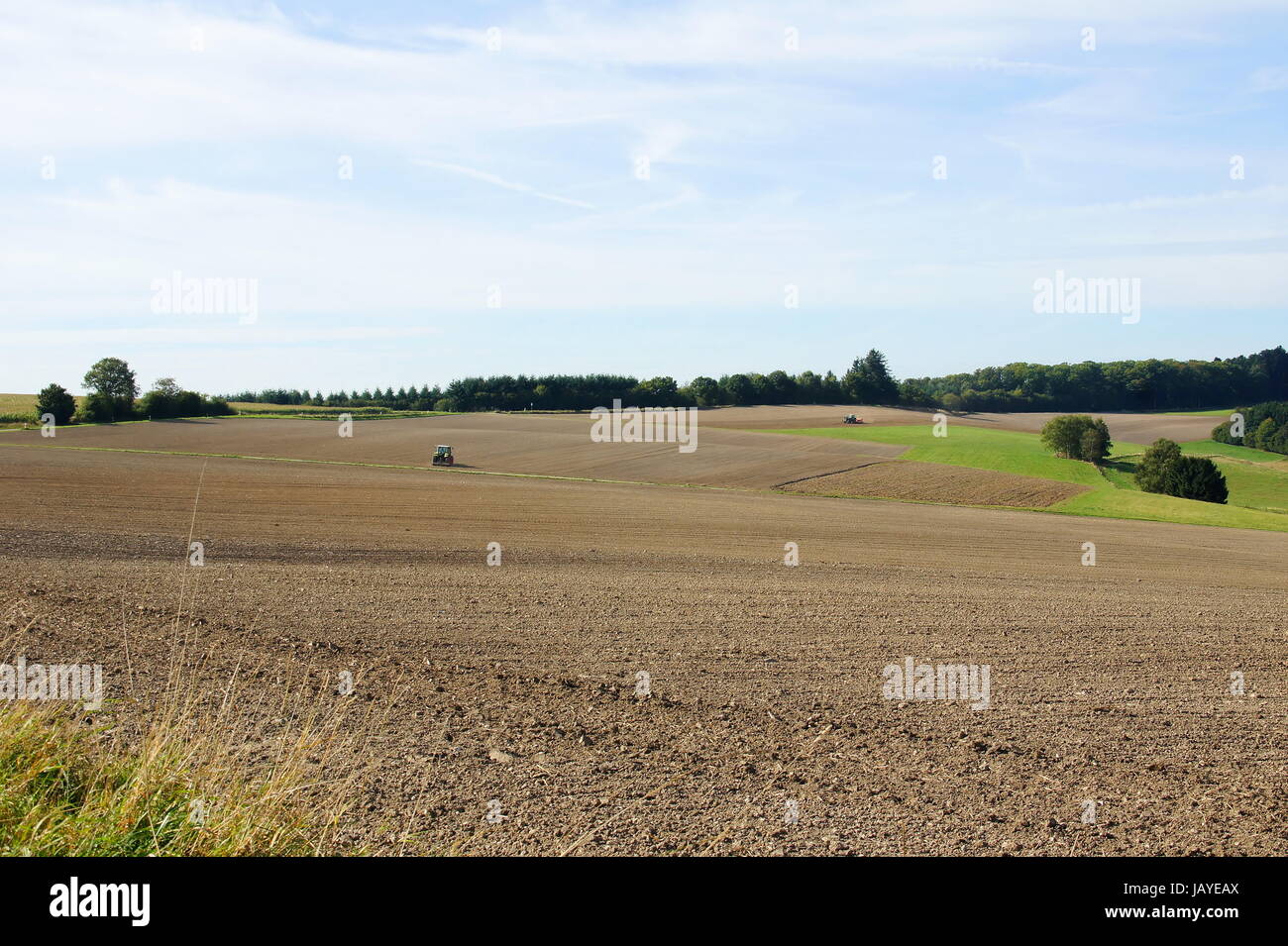 herbstliche Felder im Hunsrück Stock Photo