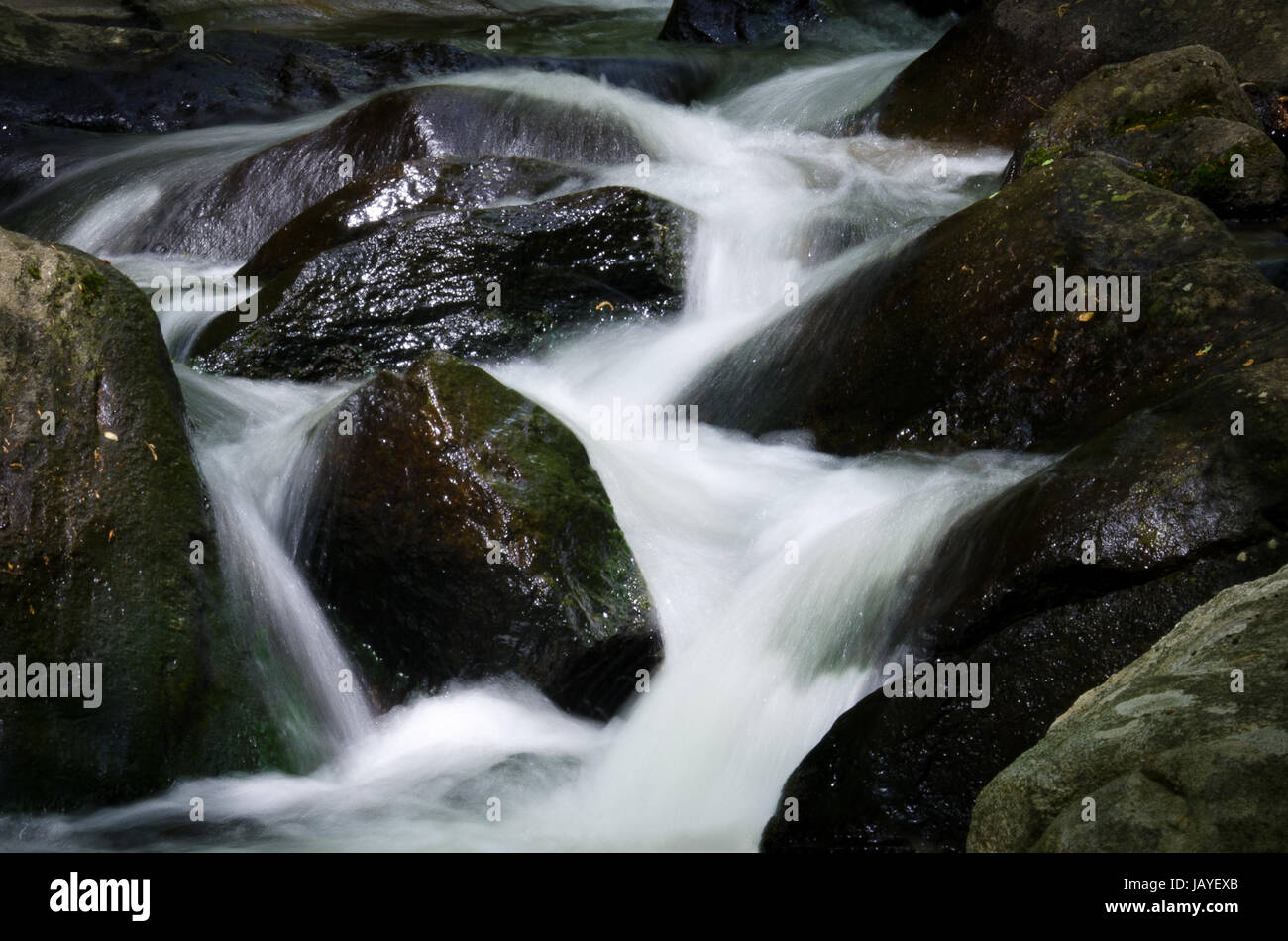 Rapid stream among rocks hi-res stock photography and images - Alamy