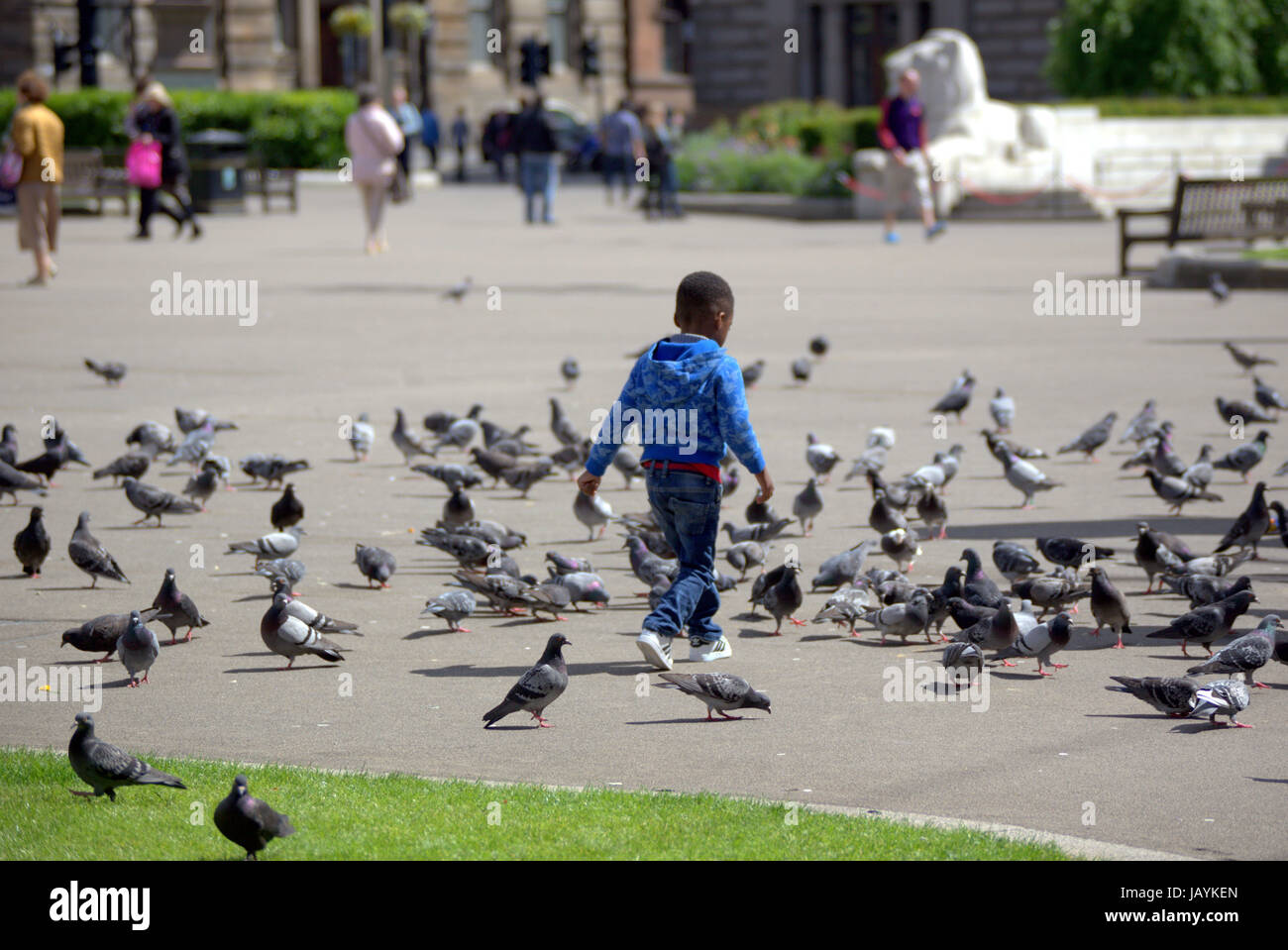 'tittle black boy in George square Glasgow Scotland chasing the pigeons Stock Photo