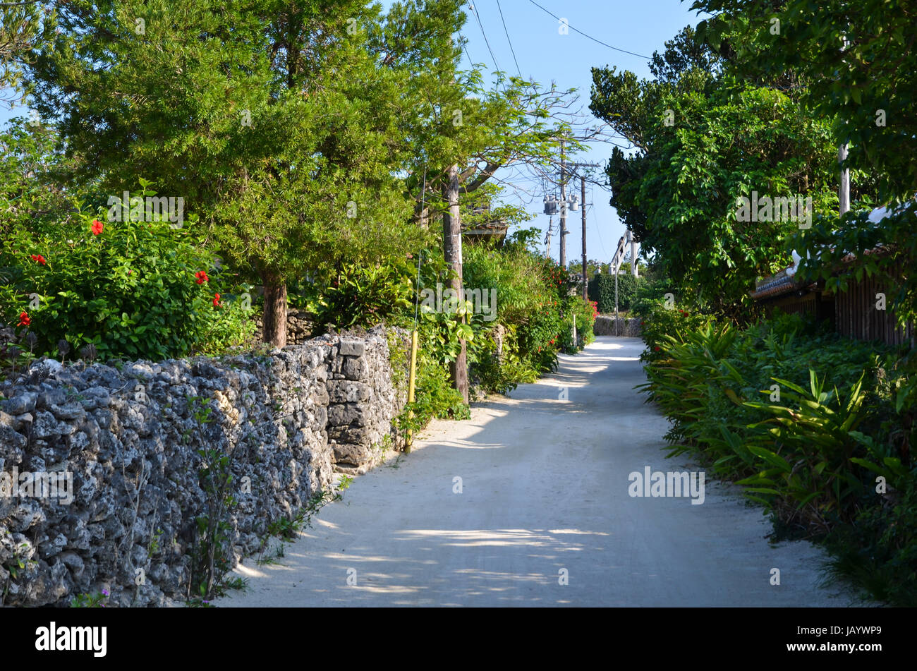 Old street at the tropical island Taketomi in Japan Stock Photo