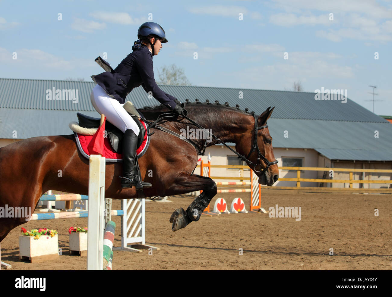 Young rider jumping on back of horse Stock Photo Alamy