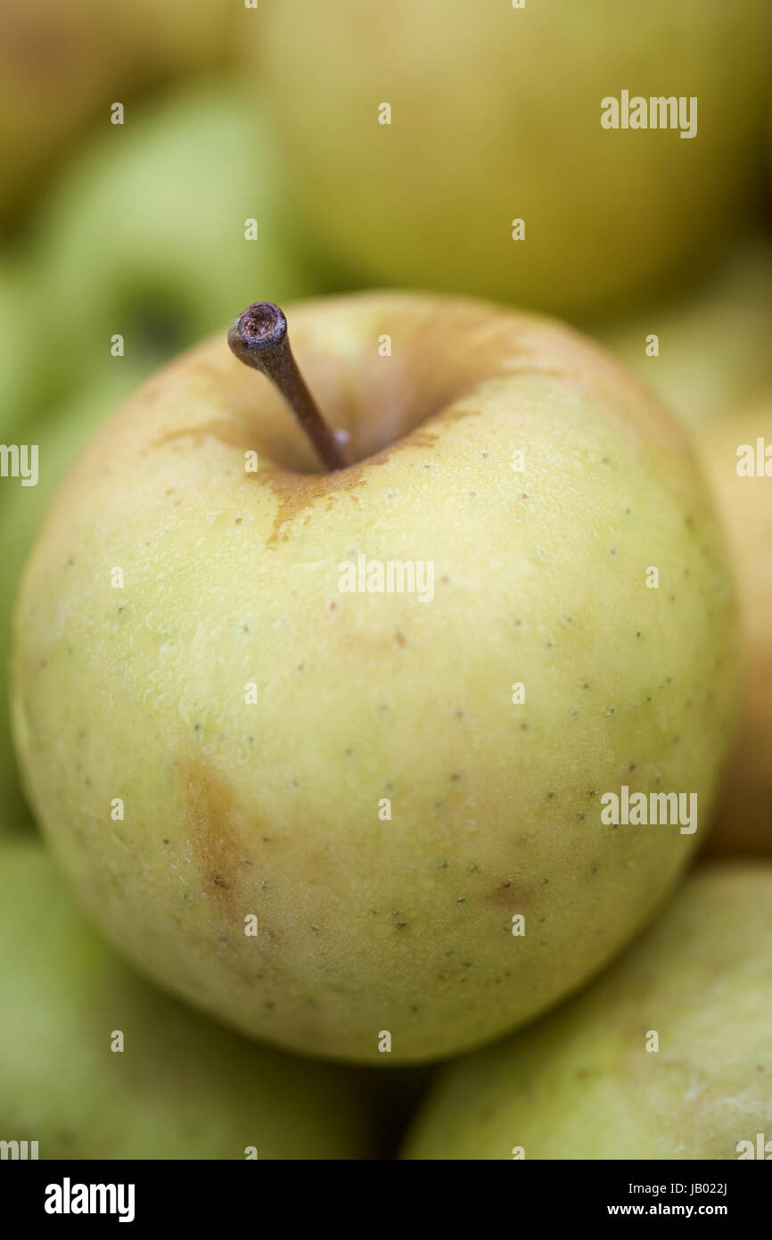 a golden delicious apple at a New York State farmer's market Stock Photo