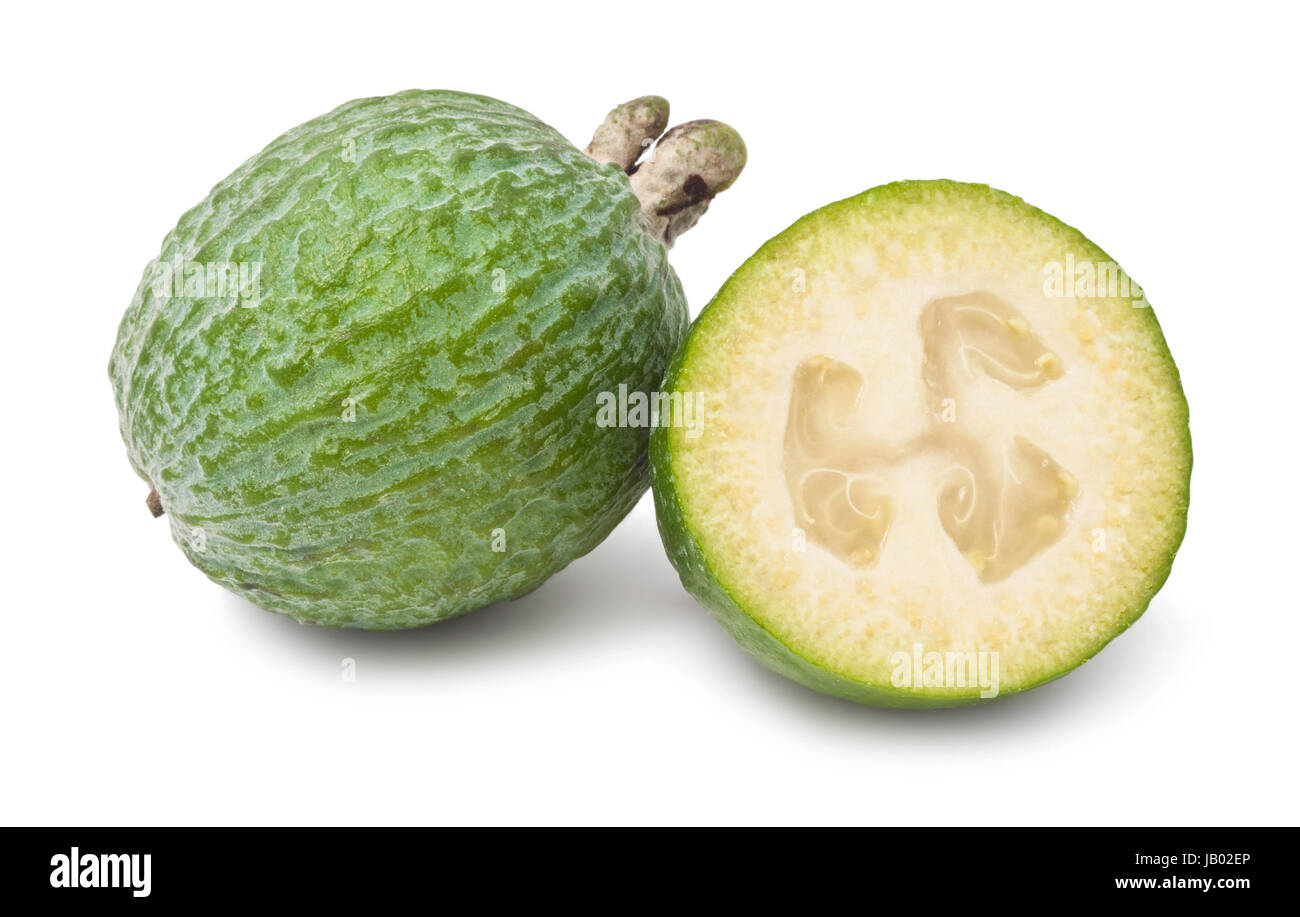 [Limited] Fresh Feijoas. Feijoa Sellowian – MGME