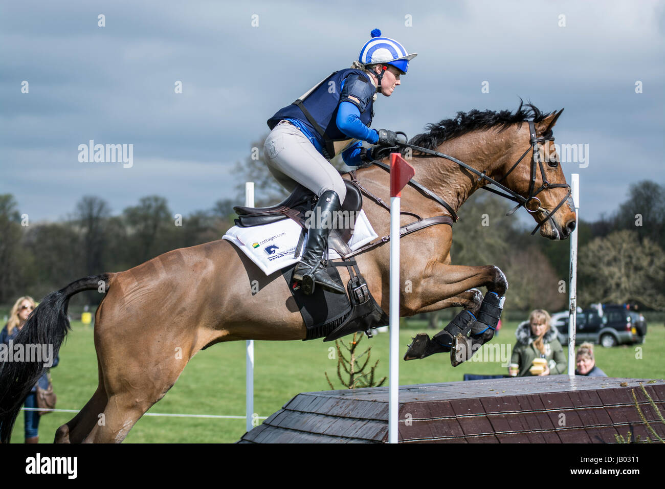 Horse and Rider at Belton House Horse Trials 2017 Stock Photo Alamy