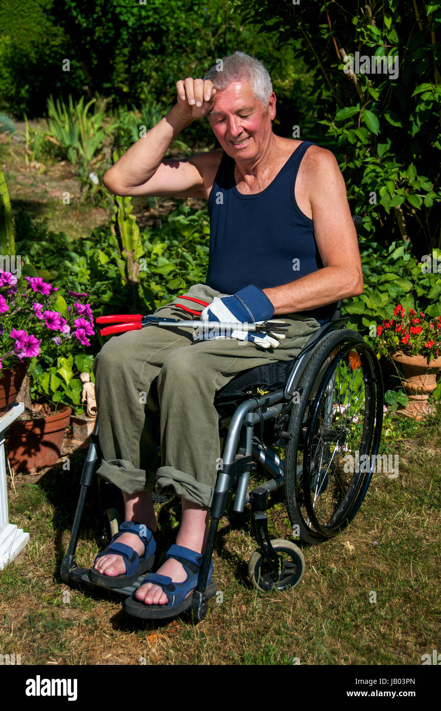 Rentner im Rollstuhl schwitzt bei Gartenarbeit. Stock Photo