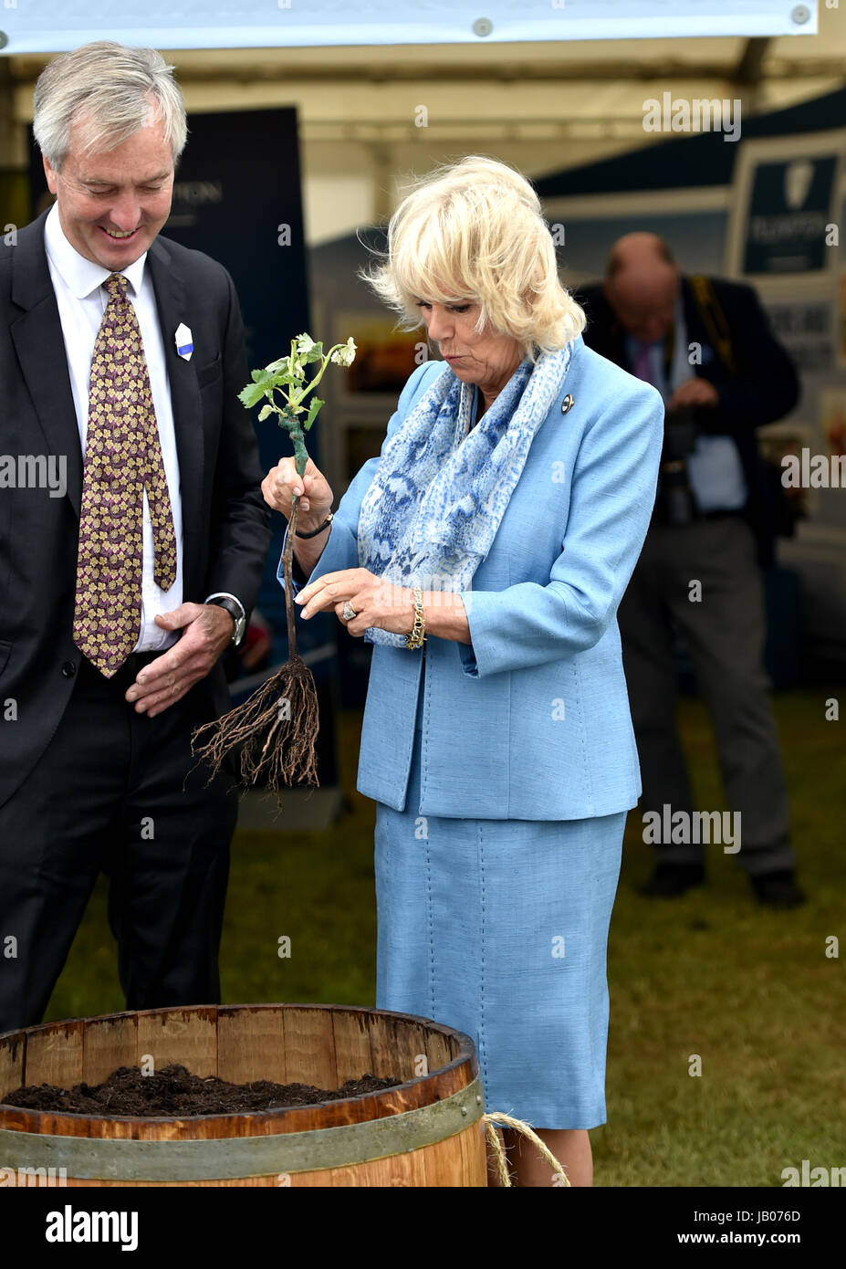 Ardingly Sussex, UK. 8th June, 2017. Camilla the Duchess of Cornwall plants a vine at the South of England Show held at the Ardingly Showground in Sussex . The South of England Agricultural Society is celebrating its 50th anniversary this year showcasing the best of agriculture, horticulture and the countryside in the South of England. Credit: Simon Dack/Alamy Live News Stock Photo