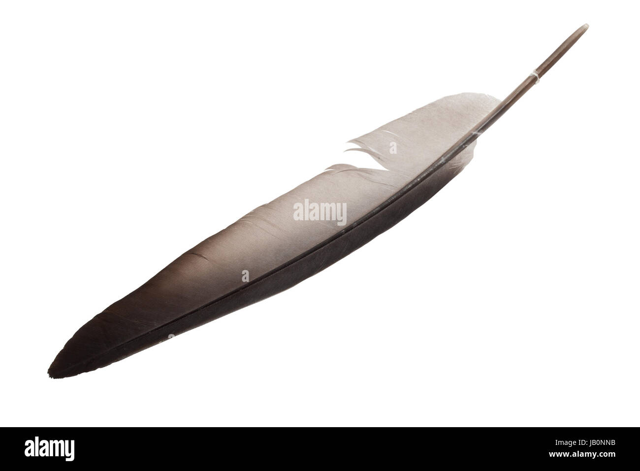 Feather pen and ink bottle on old paper background Stock Photo - Alamy
