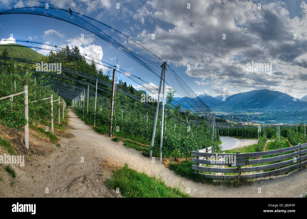 Panorama-Ansicht von oberhalb des Ortes Schenna / Südtirol aus einer Apfel-Plantage heraus in Richtung Meraner Tal im Sommer 2013 Stock Photo