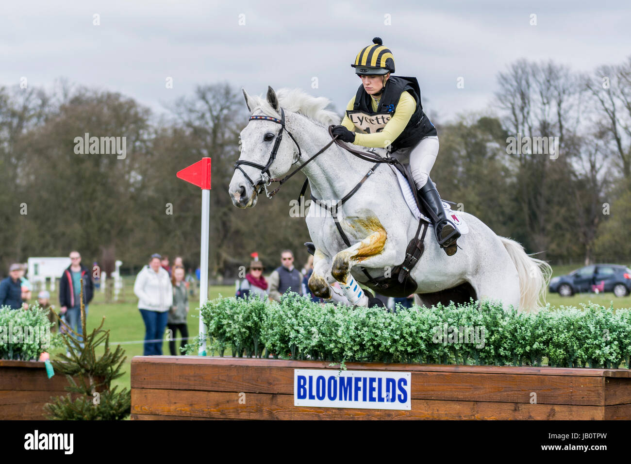 Horse and Rider at Belton House Horse Trials 2017 Stock Photo Alamy