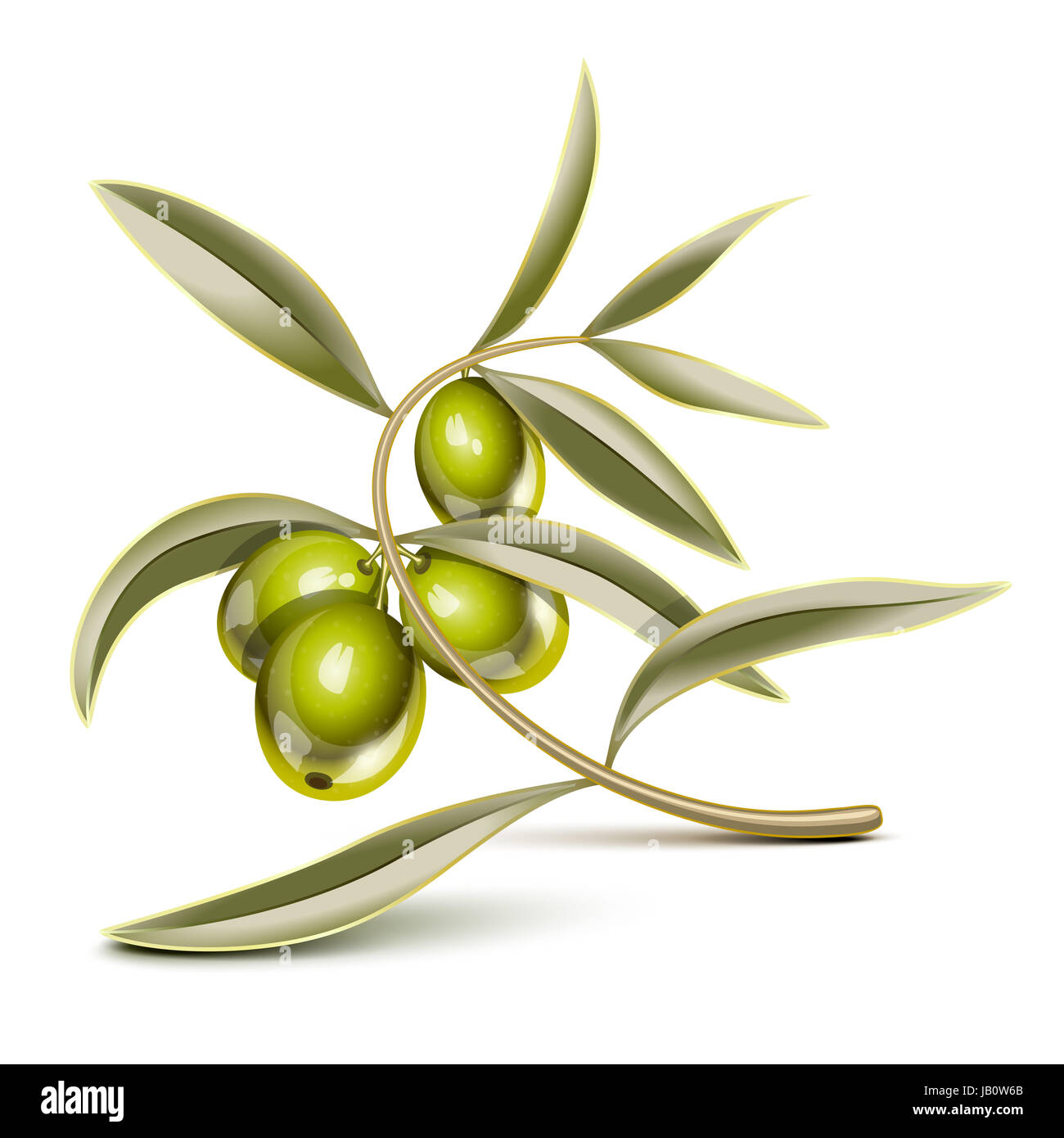 Green olives on a branch Stock Photo - Alamy