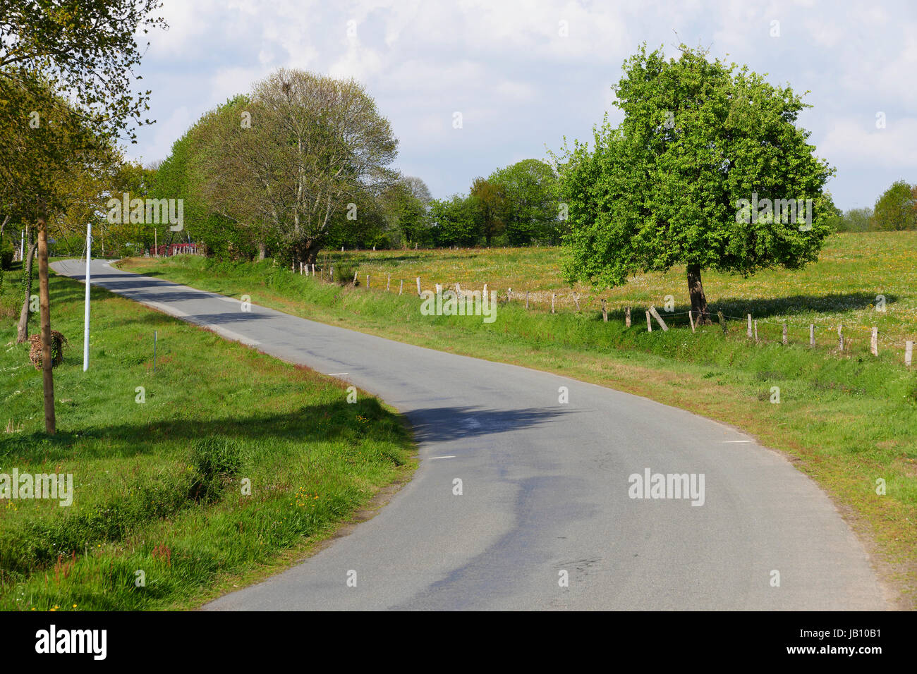Small country road, apple tree at the side of the road (Northern Mayenne, Loire country, France, Europe). Stock Photo