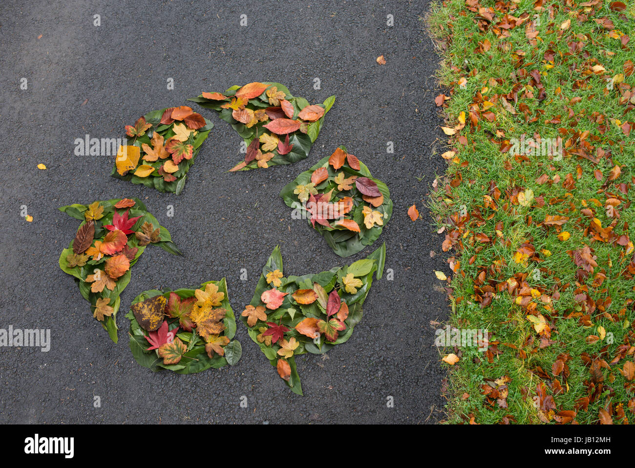 recycle symbol made from autumn leaves Stock Photo