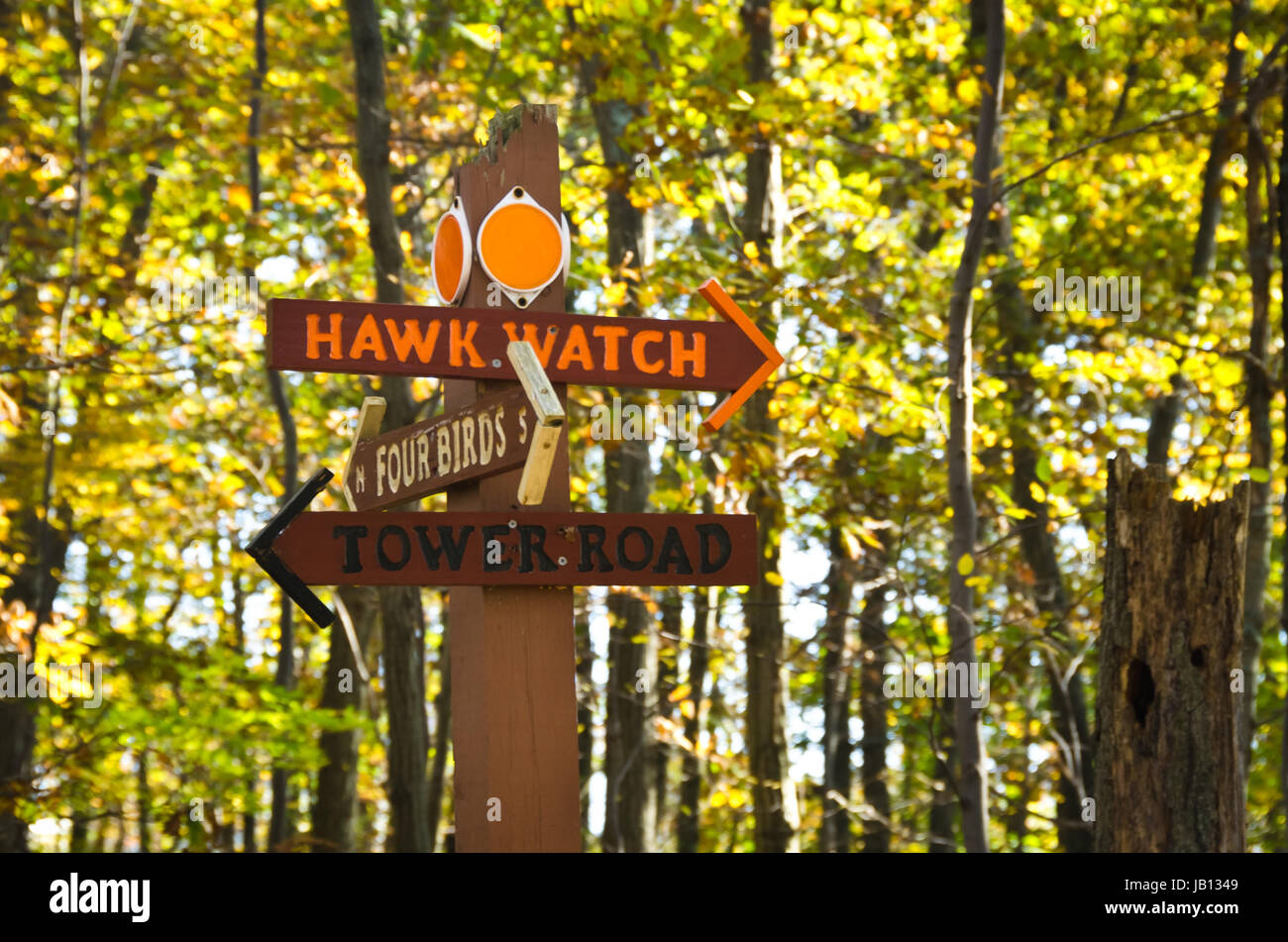 Hawk Watch Sign Stock Photo - Alamy