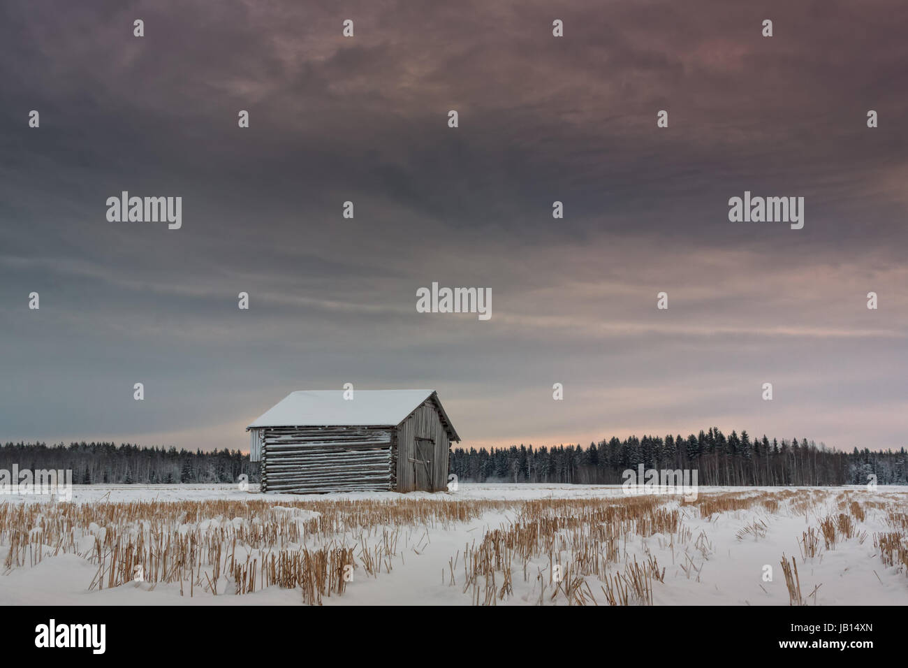We Still Have Lot Of Snow On Ground But >> An Abandoned Barn House Stands On The Winter Fields Of The Northern We Still Have Lot Of Snow On Ground But >> An Abandoned Barn House Stands On The Winter Fields Of The Northern