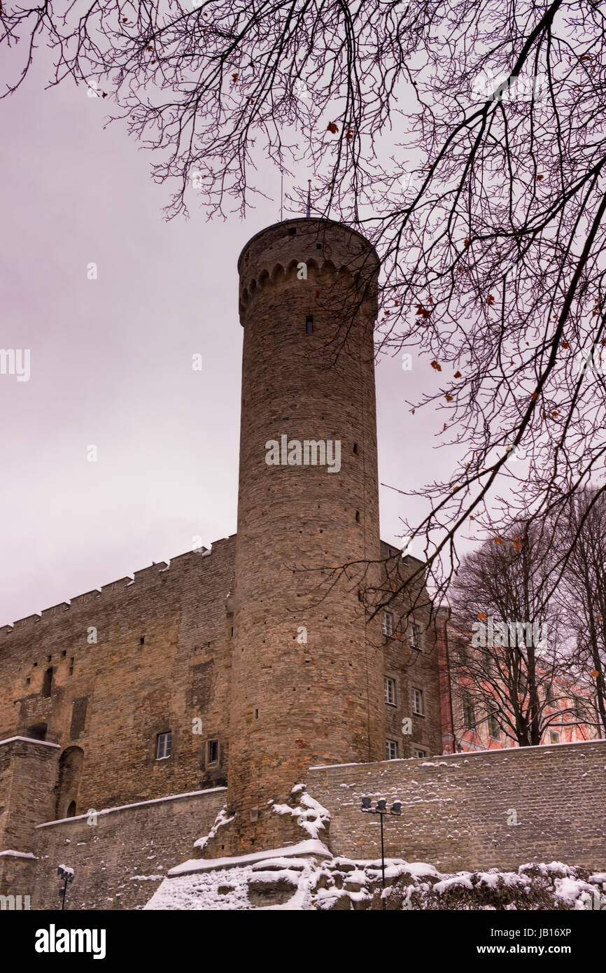 Pikk Hermann or Tall Hermann is a tower of the Toompea Castle, on Toompea hill in Tallinn, the capital of Estonia. The first part was built 1360-70. I Stock Photo