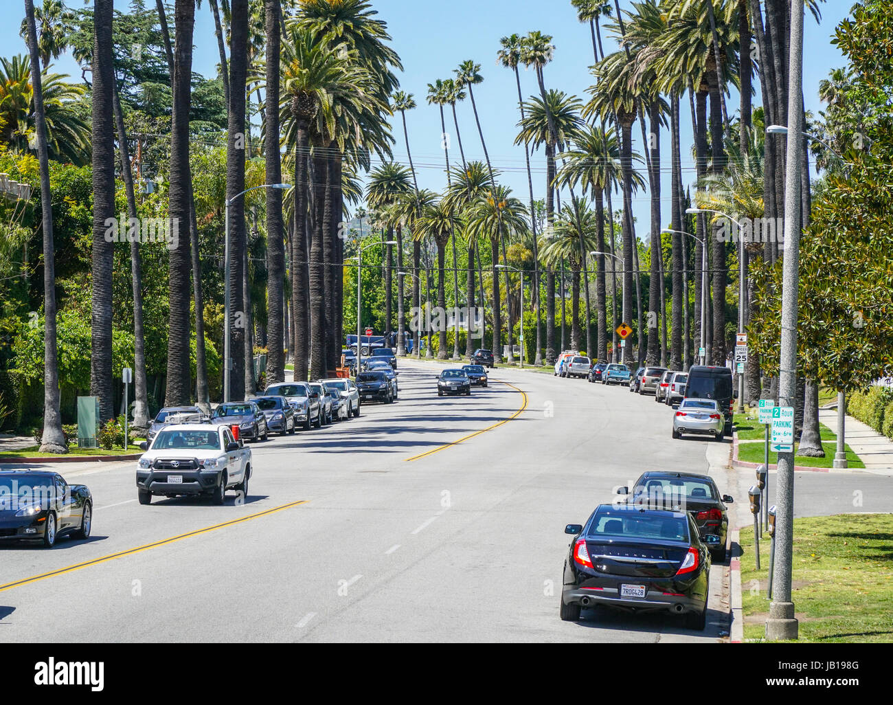Beautiful street view with palm trees in Beverly Hills LOS ANGELES