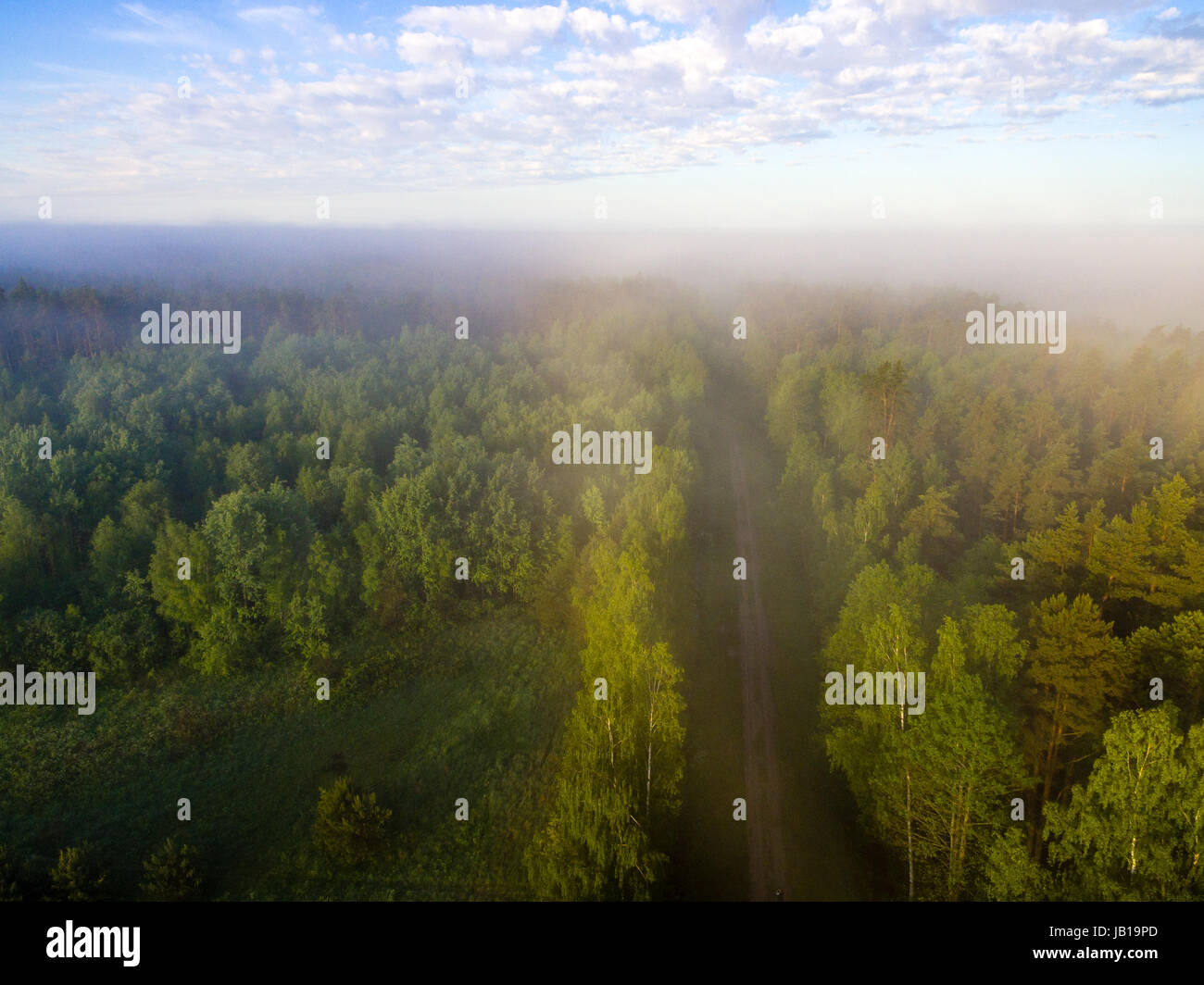 drone image. aerial view of morning mist over green forest in summer ...
