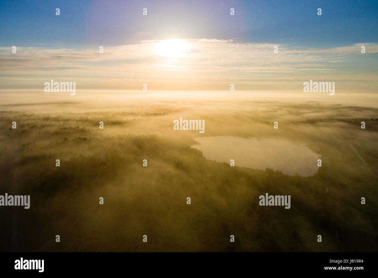 drone image. aerial view of morning mist over green forest in summer ...