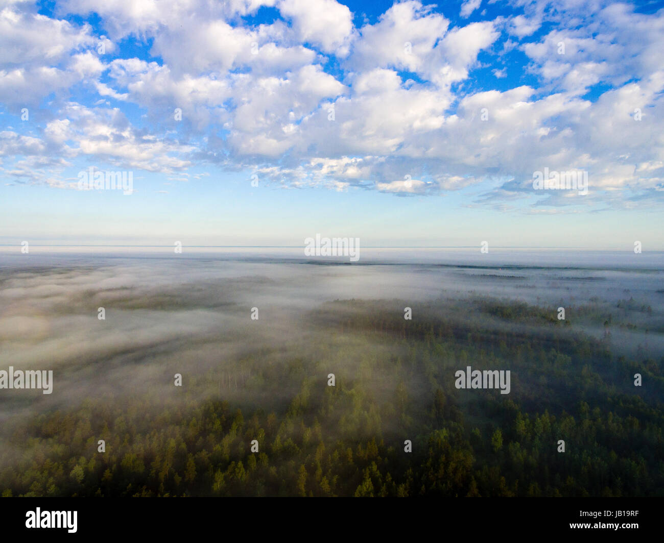 drone image. aerial view of morning mist over green forest in summer ...