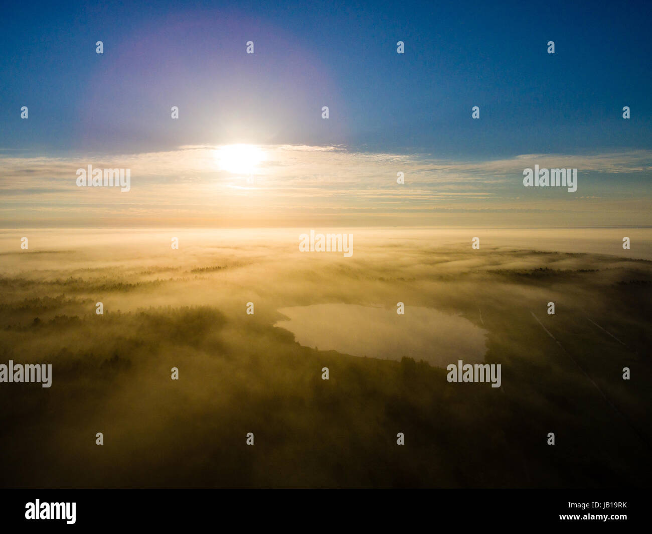 drone image. aerial view of morning mist over green forest in summer ...