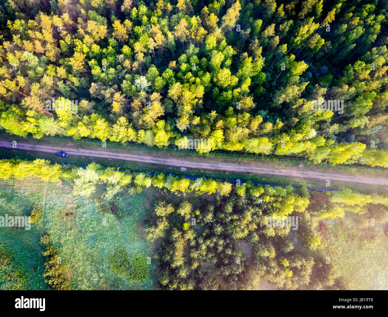 drone image. aerial view of morning mist over green forest in summer ...