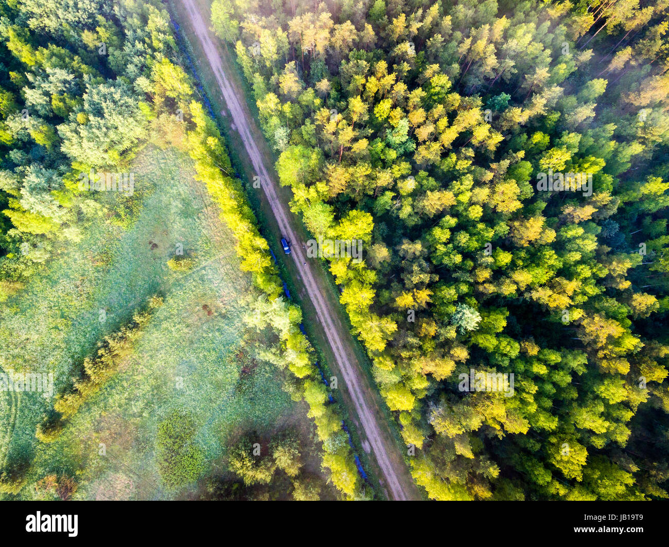 drone image. aerial view of morning mist over green forest in summer ...