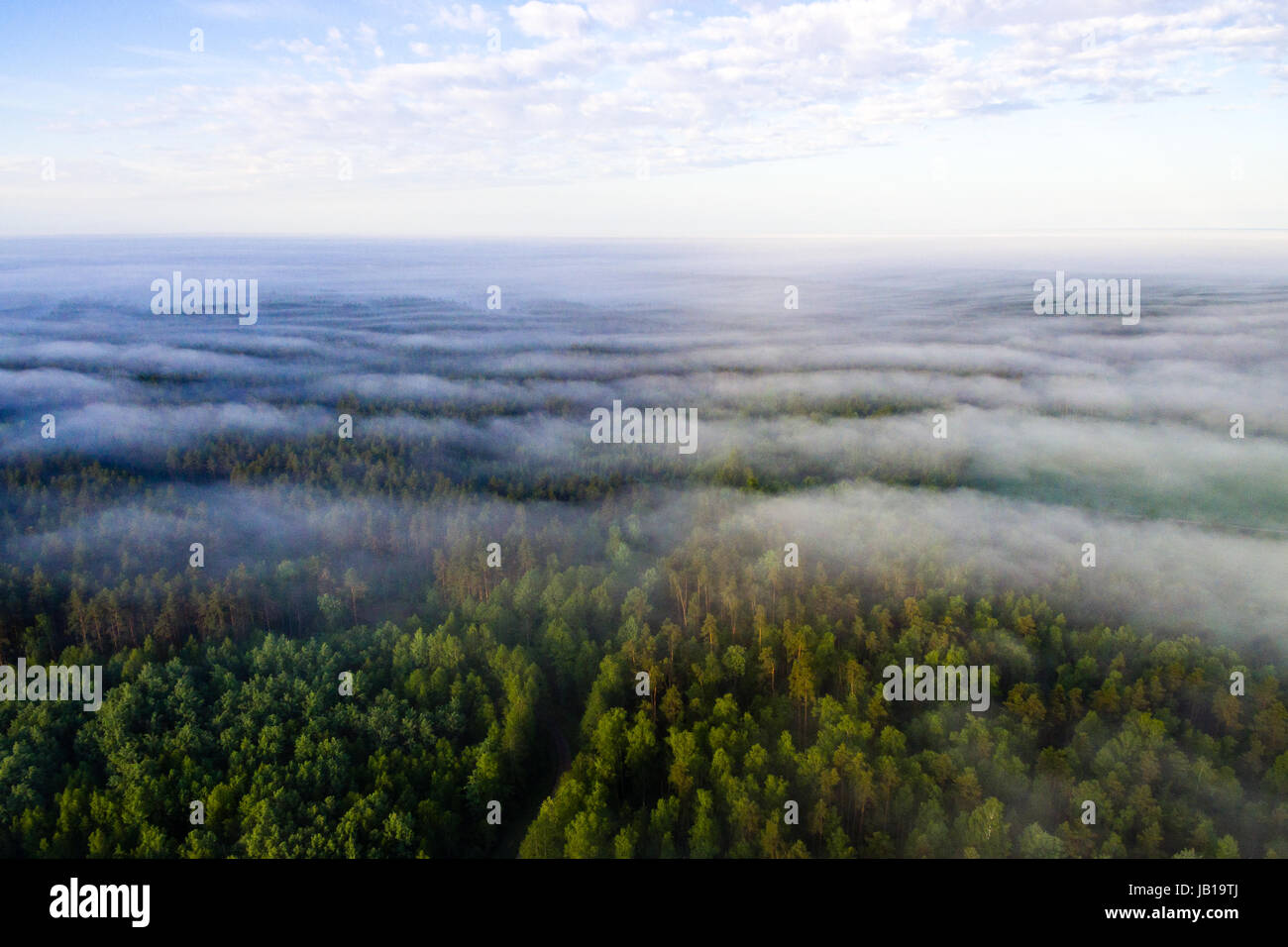 Aerial flight over cleared forest hi-res stock photography and images ...